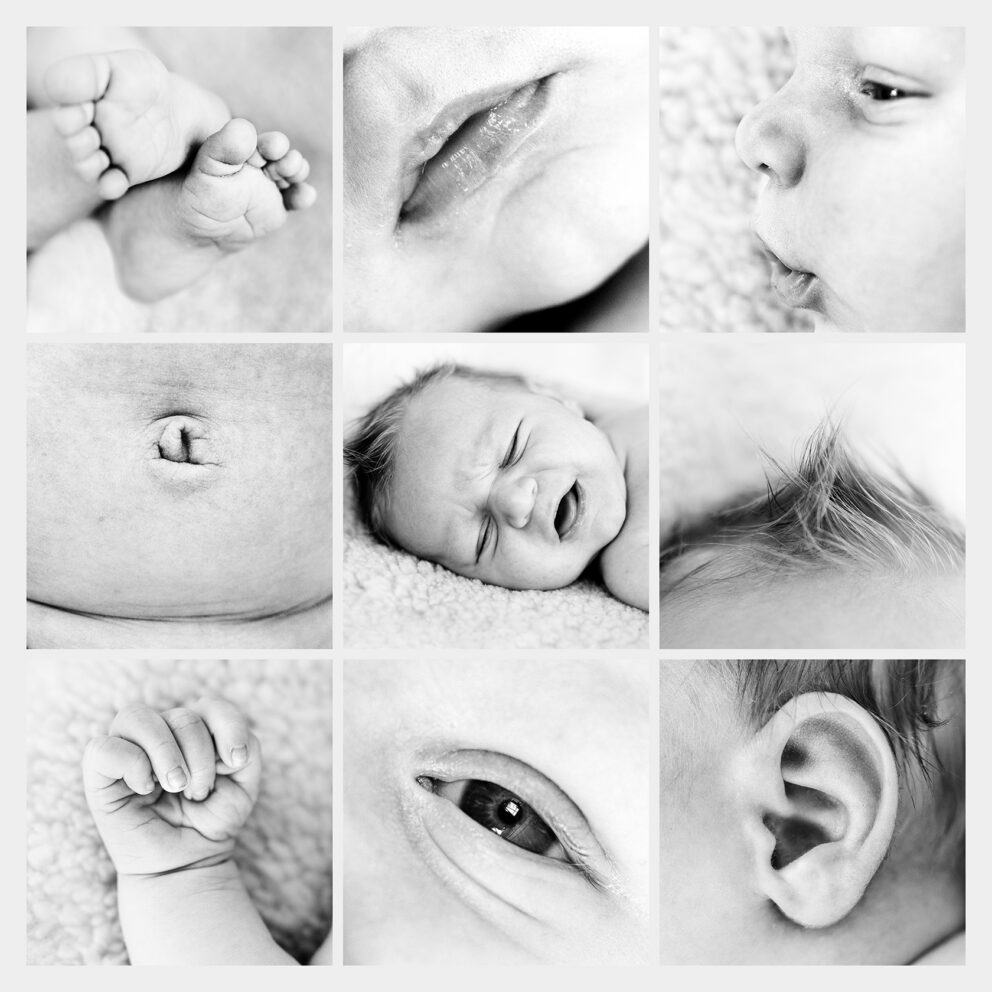 Collage