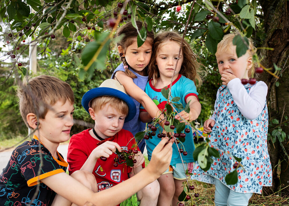 OT 0020