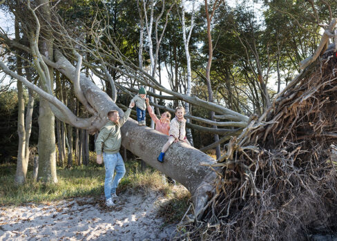 Familienshooting rostock familienfotos herbstlich familienfotograf rostock graal mueritz familienfotografin familienfotos strand graal mueritz 002